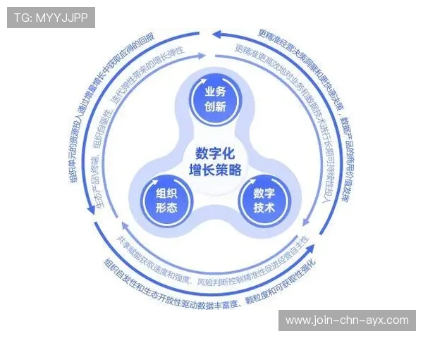凯尔特人海外青训营:打造全球品牌的新引擎